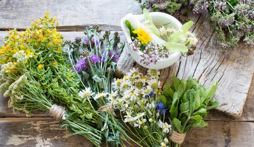 Descopera Ceaiul Pentru Rinichi al lui Rudolf Breuss: Un Ajutor Pretios in Lupta cu Afectiunile Grave!